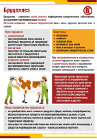 Профилактика бруцеллеза. Профилактика бруцеллеза.