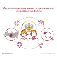 Всероссийская горячая линия по профилактике клещевого энцефалита и инфекций, передающихся клещами. Всероссийская горячая линия по профилактике клещевого энцефалита и инфекций, передающихся клещами.