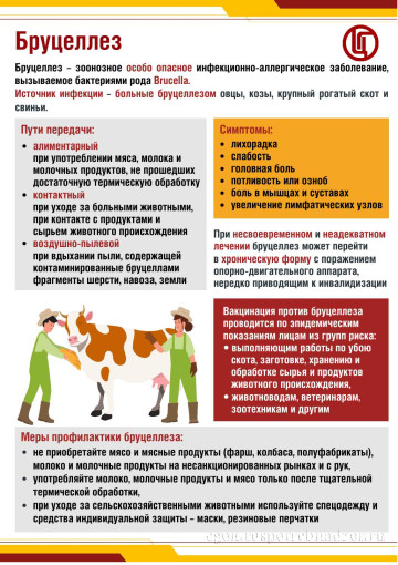 Профилактика бруцеллеза. Профилактика бруцеллеза.