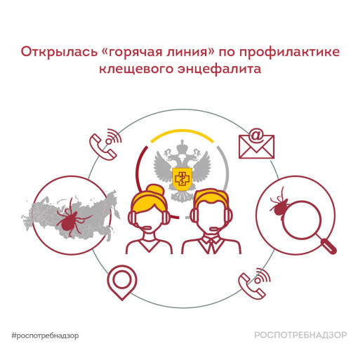 Всероссийская горячая линия по профилактике клещевого энцефалита и инфекций, передающихся клещами. Всероссийская горячая линия по профилактике клещевого энцефалита и инфекций, передающихся клещами.